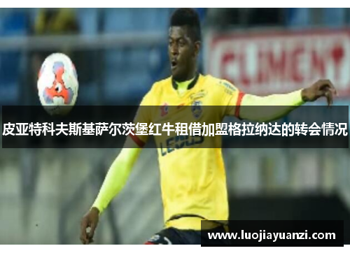 皮亚特科夫斯基萨尔茨堡红牛租借加盟格拉纳达的转会情况
